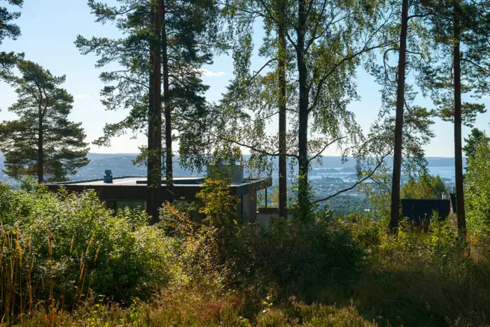 STJERNEVEIEN-120907FSF020