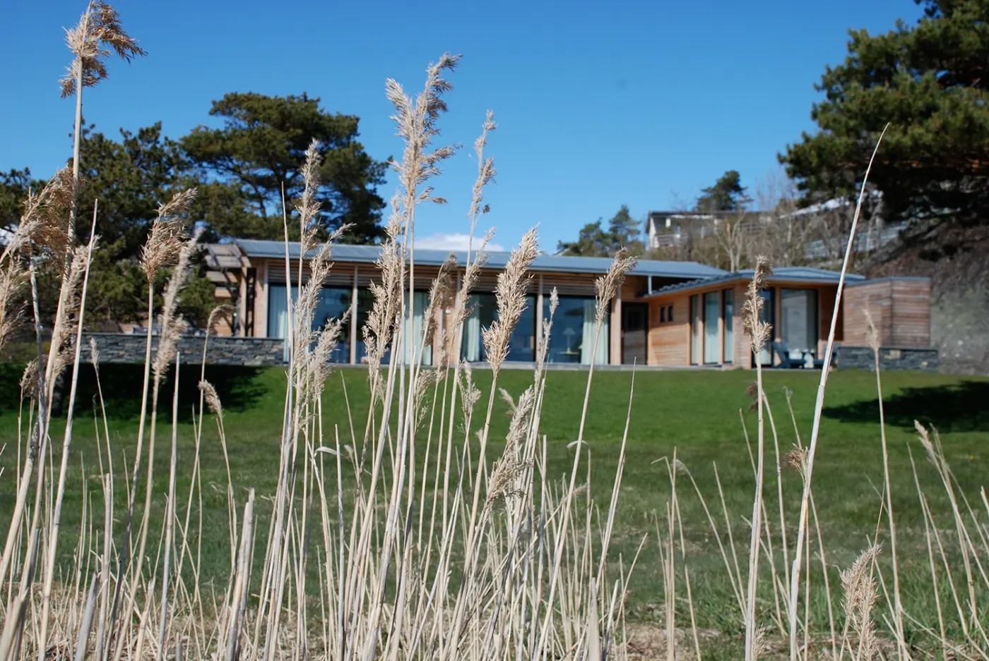 BJØ — den lave boligen sett over plenen gjennom sivet, med gjennomgående glassfelt